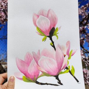 Lámina Magnolia 2 - Hannevashop (Lámina de acuarela para decoración)