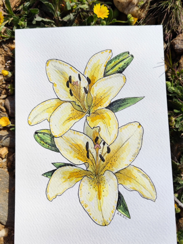 Lámina Lilium Amarillo - Hannevashop