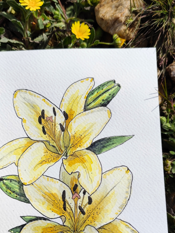 Lámina Lilium Amarillo - Hannevashop