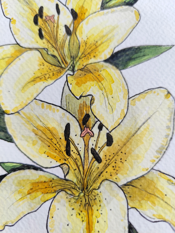 Lámina Lilium Amarillo - Hannevashop