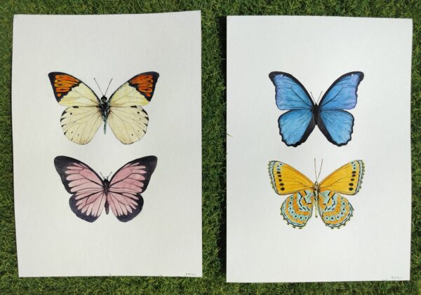 Lámina Mariposas Azul y Amarilla - Imagen 5