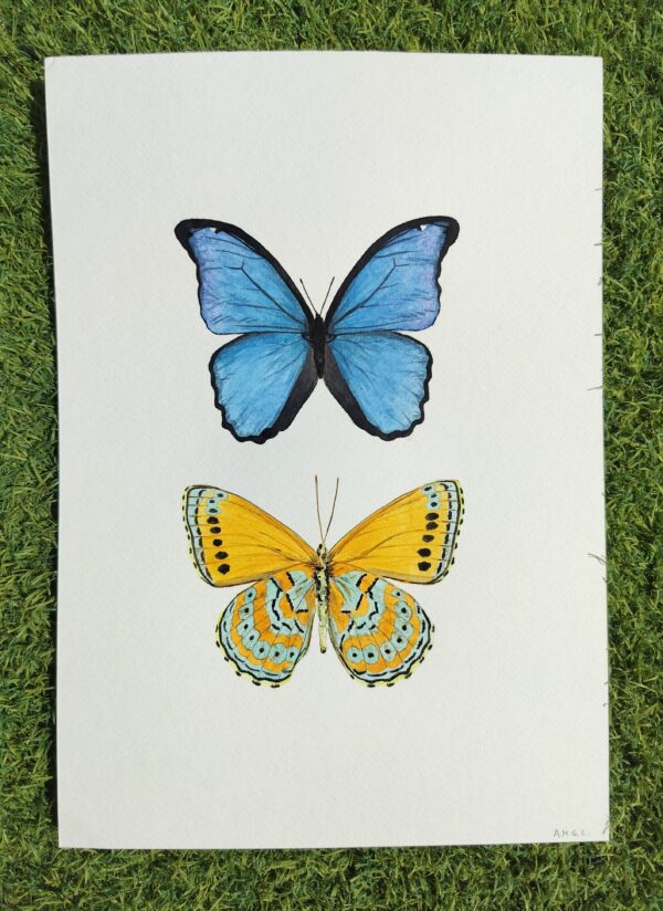 Lámina Mariposas Azul y Amarilla - Imagen 2